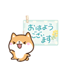 ちびシバ【色鉛筆飾り】（個別スタンプ：1）