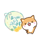 ちびシバ【色鉛筆飾り】（個別スタンプ：5）