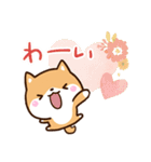 ちびシバ【色鉛筆飾り】（個別スタンプ：16）