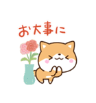 ちびシバ【色鉛筆飾り】（個別スタンプ：22）