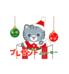 動く！冬 3びきのこねこ♪（個別スタンプ：19）