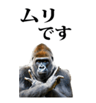 リアル☆ゴリラ【BIG】（個別スタンプ：2）
