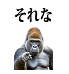 リアル☆ゴリラ【BIG】（個別スタンプ：6）