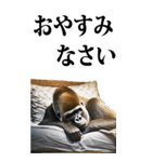 リアル☆ゴリラ【BIG】（個別スタンプ：8）