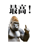 リアル☆ゴリラ【BIG】（個別スタンプ：10）