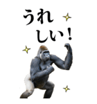 リアル☆ゴリラ【BIG】（個別スタンプ：11）