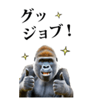 リアル☆ゴリラ【BIG】（個別スタンプ：12）