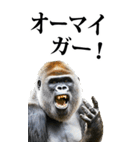 リアル☆ゴリラ【BIG】（個別スタンプ：13）