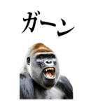 リアル☆ゴリラ【BIG】（個別スタンプ：14）