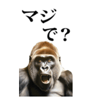 リアル☆ゴリラ【BIG】（個別スタンプ：16）