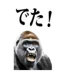 リアル☆ゴリラ【BIG】（個別スタンプ：23）