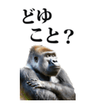 リアル☆ゴリラ【BIG】（個別スタンプ：28）