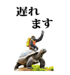 リアル☆ゴリラ【BIG】（個別スタンプ：36）