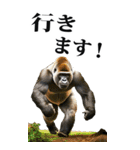 リアル☆ゴリラ【BIG】（個別スタンプ：37）