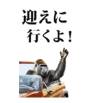 リアル☆ゴリラ【BIG】（個別スタンプ：39）