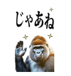 リアル☆ゴリラ【BIG】（個別スタンプ：40）