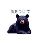クマ注意【日常会話・くま・熊】（個別スタンプ：9）