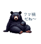 クマ注意【日常会話・くま・熊】（個別スタンプ：13）