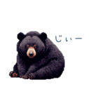 クマ注意【日常会話・くま・熊】（個別スタンプ：29）