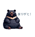 クマ注意【日常会話・くま・熊】（個別スタンプ：30）