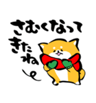 ふでしば【冬～春】柴犬、筆文字（個別スタンプ：6）