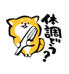 ふでしば【冬～春】柴犬、筆文字（個別スタンプ：13）