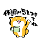 ふでしば【冬～春】柴犬、筆文字（個別スタンプ：14）