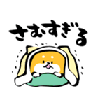 ふでしば【冬～春】柴犬、筆文字（個別スタンプ：24）