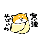 ふでしば【冬～春】柴犬、筆文字（個別スタンプ：26）