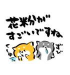 ふでしば【冬～春】柴犬、筆文字（個別スタンプ：38）