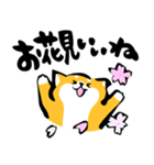 ふでしば【冬～春】柴犬、筆文字（個別スタンプ：40）