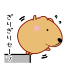 きゃぴばら【伝える】（個別スタンプ：3）