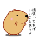 きゃぴばら【伝える】（個別スタンプ：5）