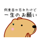 きゃぴばら【伝える】（個別スタンプ：6）