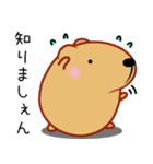 きゃぴばら【伝える】（個別スタンプ：20）