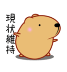 きゃぴばら【伝える】（個別スタンプ：36）