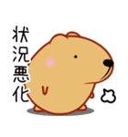 きゃぴばら【伝える】（個別スタンプ：37）