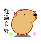 きゃぴばら【伝える】（個別スタンプ：39）