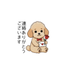 冬に使えるトイプードル②（季節+敬語）（個別スタンプ：11）