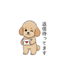 冬に使えるトイプードル②（季節+敬語）（個別スタンプ：12）