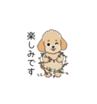 冬に使えるトイプードル②（季節+敬語）（個別スタンプ：19）