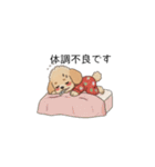 冬に使えるトイプードル②（季節+敬語）（個別スタンプ：23）