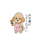 冬に使えるトイプードル②（季節+敬語）（個別スタンプ：27）