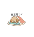 冬に使えるトイプードル②（季節+敬語）（個別スタンプ：38）