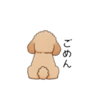 フランクな会話のトイプー②(アプリコット)（個別スタンプ：7）
