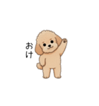 フランクな会話のトイプー②(アプリコット)（個別スタンプ：9）