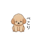 フランクな会話のトイプー②(アプリコット)（個別スタンプ：11）