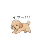 フランクな会話のトイプー②(アプリコット)（個別スタンプ：14）