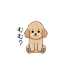 フランクな会話のトイプー②(アプリコット)（個別スタンプ：17）