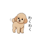 フランクな会話のトイプー②(アプリコット)（個別スタンプ：28）